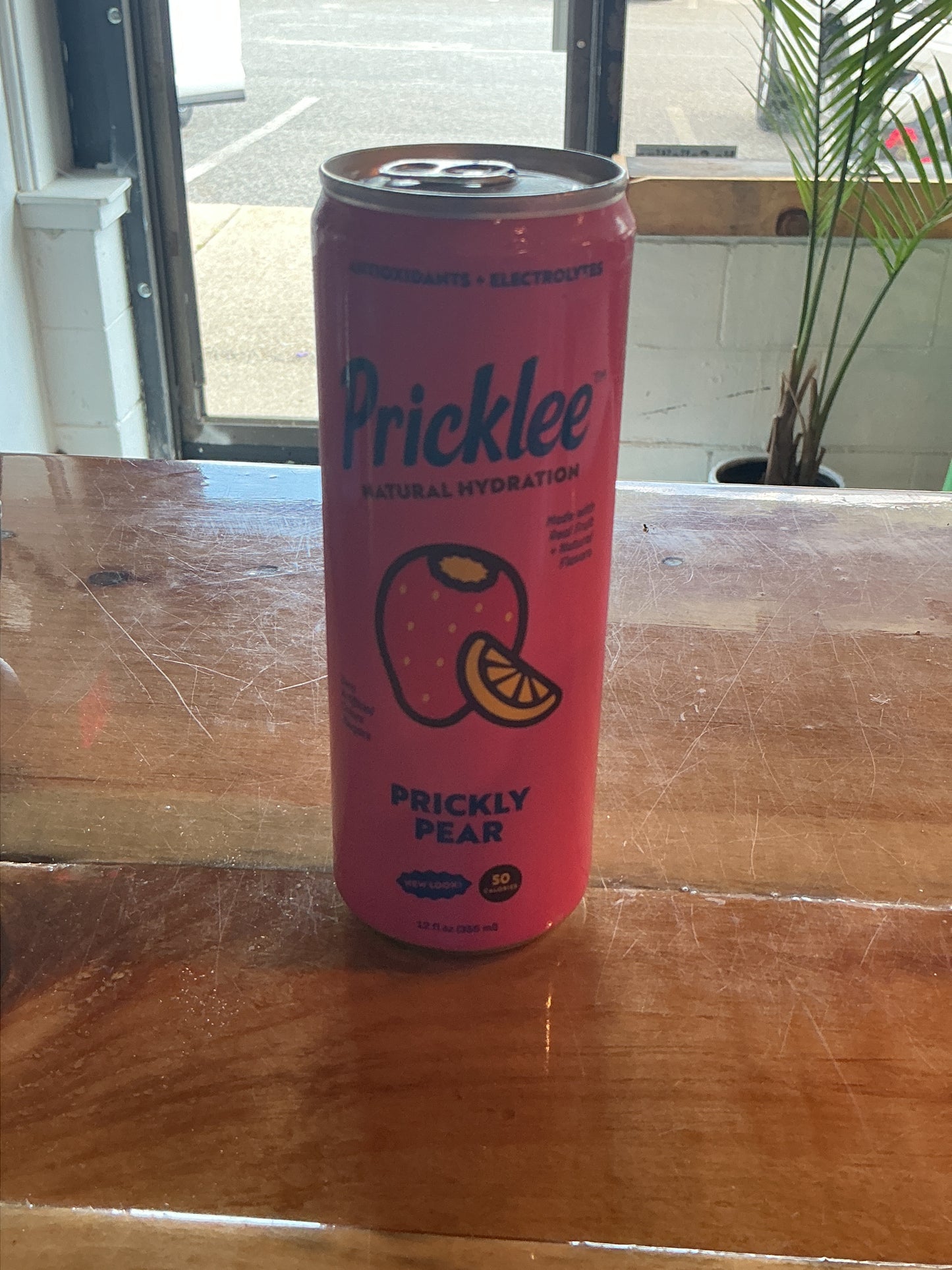 Pricklee cactus water