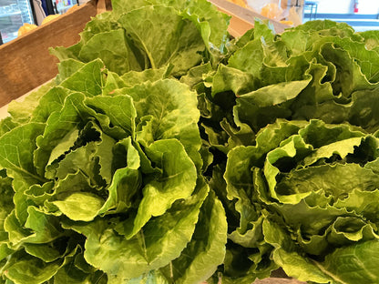 Sauchuck  Farm