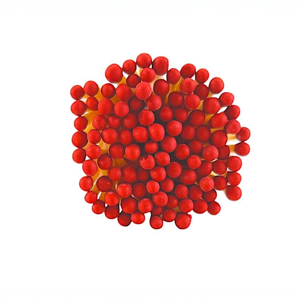 3" Matches in Cloche w/Heart Striker & 25 Colored Matches