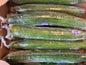 English cucumber organic