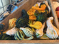Decorative Gourds