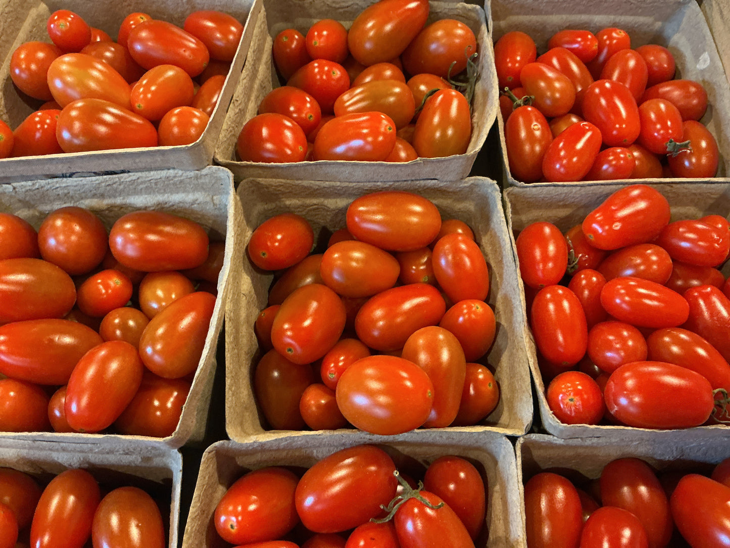 Grape Tomatoes pint