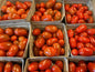 Grape Tomatoes pint