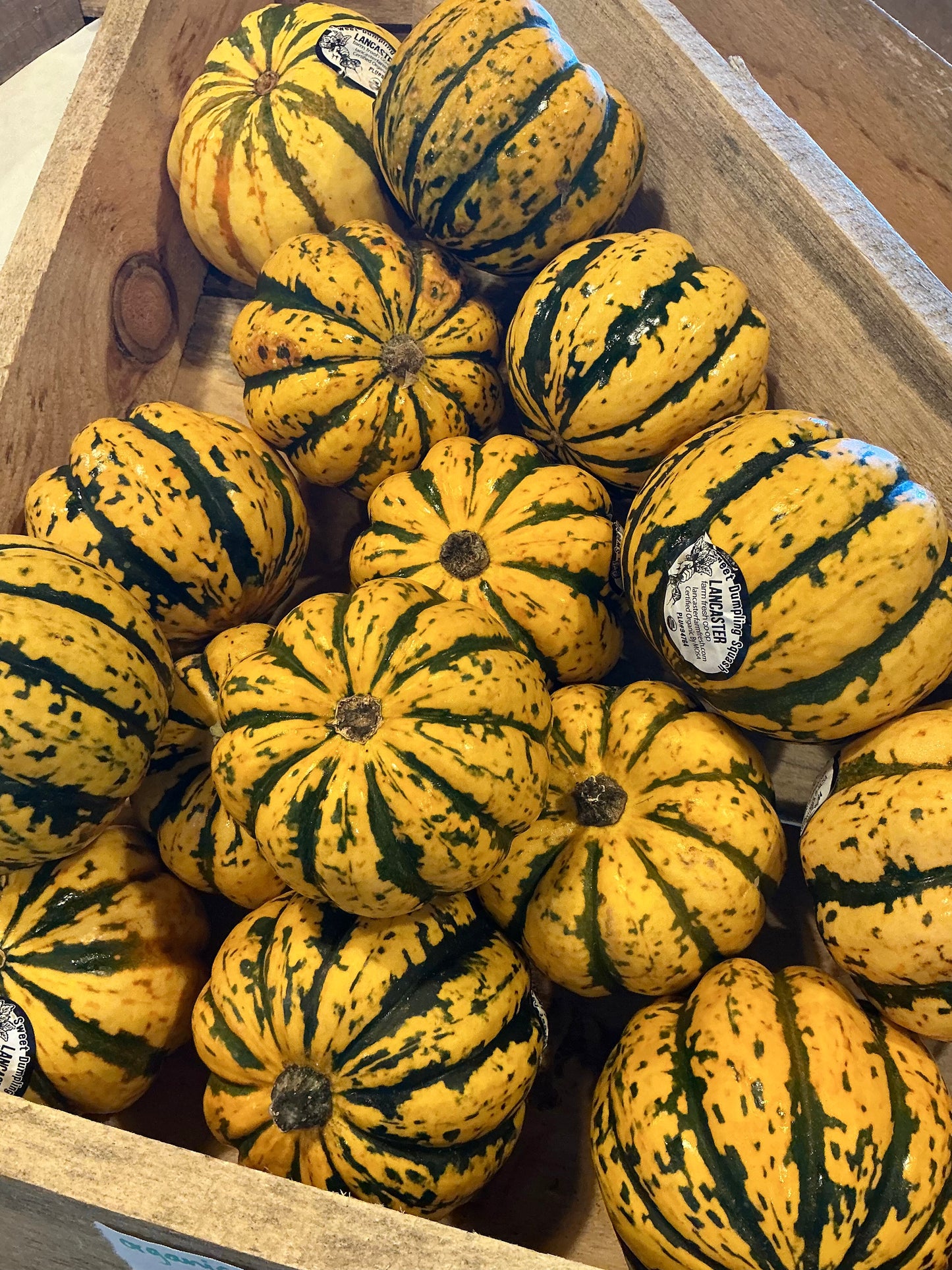 Sweet dumpling Squash