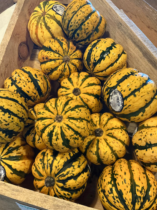 Sweet dumpling Squash
