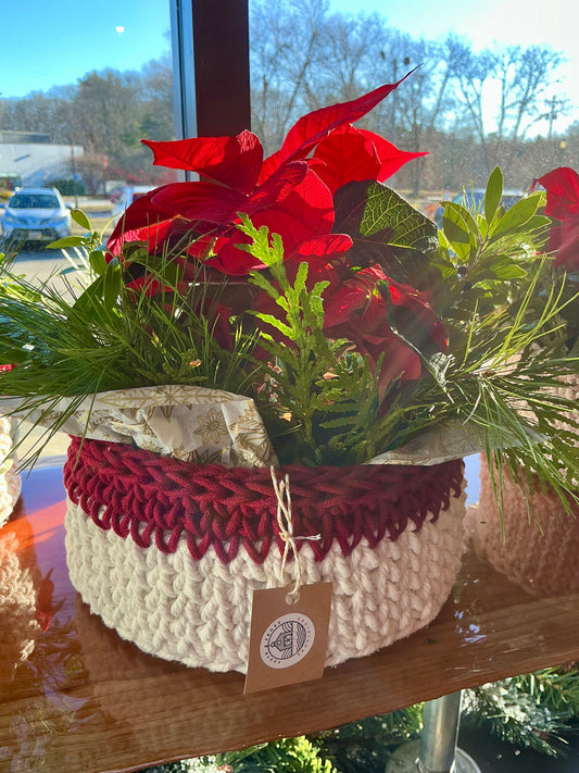 Poinsettia basket