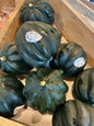 Acorn squash