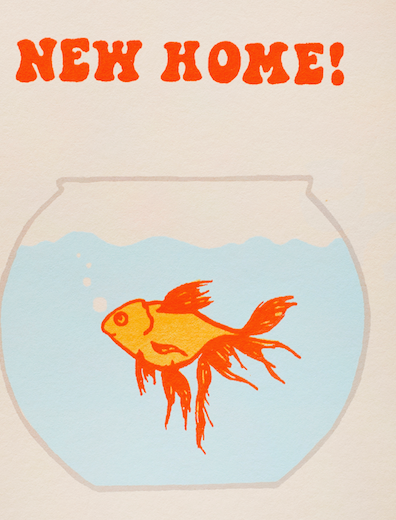 NEW HOME FISH GREETING CARD